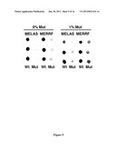 BIOLAYER INTERFEROMETRY MEASUREMENT OF BIOLOGICAL TARGETS diagram and image