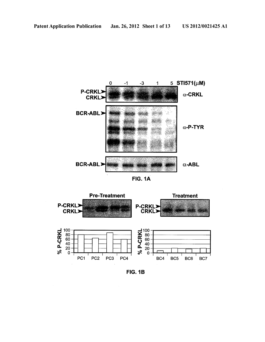 MUTATIONS IN THE BCR-ABL TYROSINE KINASE ASSOCIATED WITH RESISTANCE TO     STI-571 - diagram, schematic, and image 02