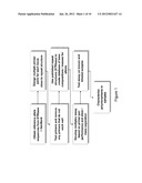 Methods For Rapid Forensic DNA Analysis diagram and image