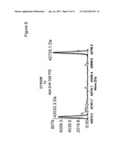 Methods For Rapid Forensic DNA Analysis diagram and image