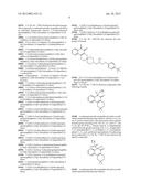 Phosphorylated NF45 Biomarkers, Antibodies And Methods Of Using Same diagram and image