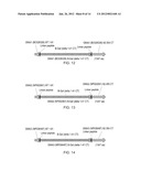 METHODS FOR TESTING LIGAND BINDING TO G PROTEIN-COUPLED RECEPTORS diagram and image