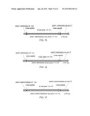 METHODS FOR TESTING LIGAND BINDING TO G PROTEIN-COUPLED RECEPTORS diagram and image