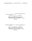 METHODS FOR TESTING LIGAND BINDING TO G PROTEIN-COUPLED RECEPTORS diagram and image