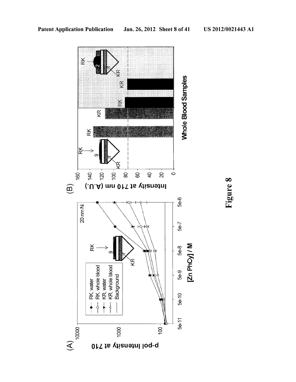 DIRECTIONAL SURFACE PLASMON COUPLED FLUORESCENCE AND CHEMILUMINESCENCE     FROM THIN FILMS OF NICKEL, IRON OR PALLADIUM AND USES THEREOF - diagram, schematic, and image 09