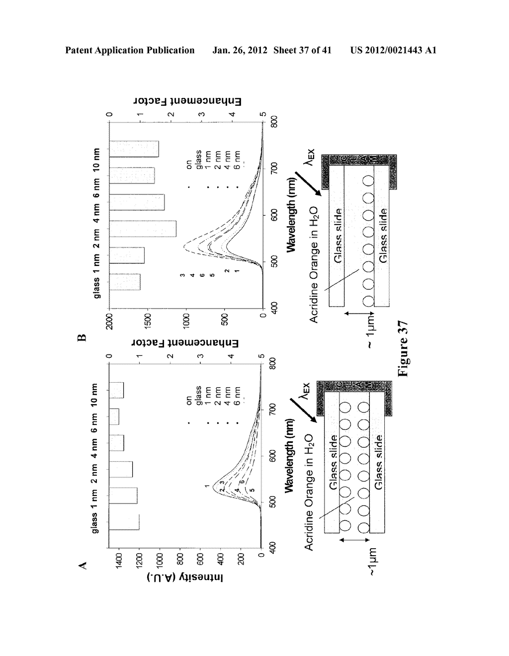 DIRECTIONAL SURFACE PLASMON COUPLED FLUORESCENCE AND CHEMILUMINESCENCE     FROM THIN FILMS OF NICKEL, IRON OR PALLADIUM AND USES THEREOF - diagram, schematic, and image 38