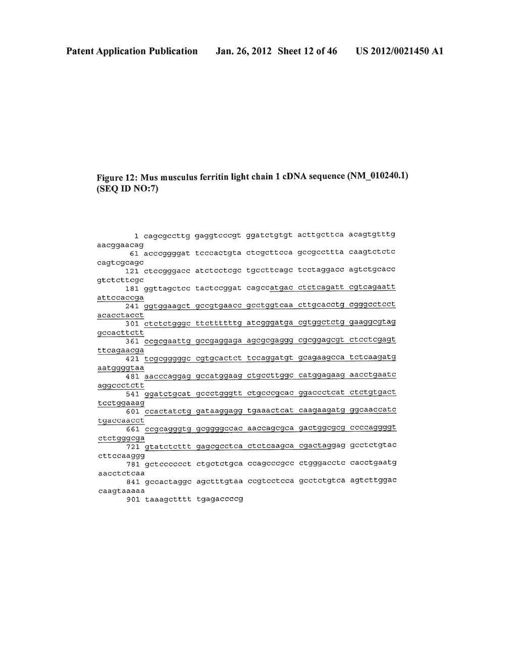 METHODS FOR MAGNETIC RESONANCE IMAGING - diagram, schematic, and image 13