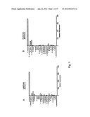 RAPID FRET-BASED DIAGNOSIS OF BACTERIAL PATHOGENS diagram and image