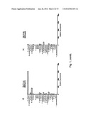 RAPID FRET-BASED DIAGNOSIS OF BACTERIAL PATHOGENS diagram and image