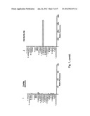 RAPID FRET-BASED DIAGNOSIS OF BACTERIAL PATHOGENS diagram and image