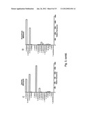 RAPID FRET-BASED DIAGNOSIS OF BACTERIAL PATHOGENS diagram and image