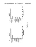 RAPID FRET-BASED DIAGNOSIS OF BACTERIAL PATHOGENS diagram and image