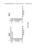 RAPID FRET-BASED DIAGNOSIS OF BACTERIAL PATHOGENS diagram and image