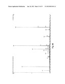 RAPID FRET-BASED DIAGNOSIS OF BACTERIAL PATHOGENS diagram and image