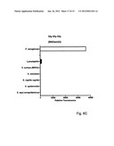 RAPID FRET-BASED DIAGNOSIS OF BACTERIAL PATHOGENS diagram and image