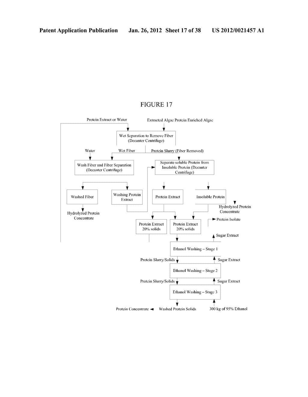 PROTEIN CONCENTRATES AND ISOLATES, AND PROCESSES FOR THE PRODUCTION     THEREOF FROM MACROALGAE AND/OR MICROALGAE - diagram, schematic, and image 18