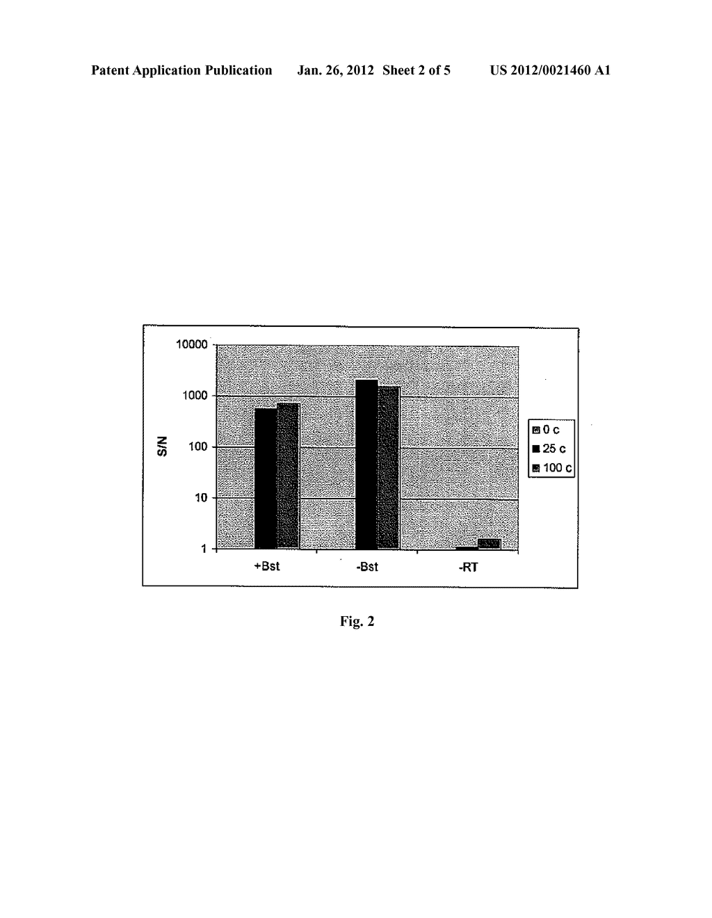 MATERIALS AND METHODS FOR ISOTHERMAL NUCLEIC ACID AMPLIFICATION - diagram, schematic, and image 03