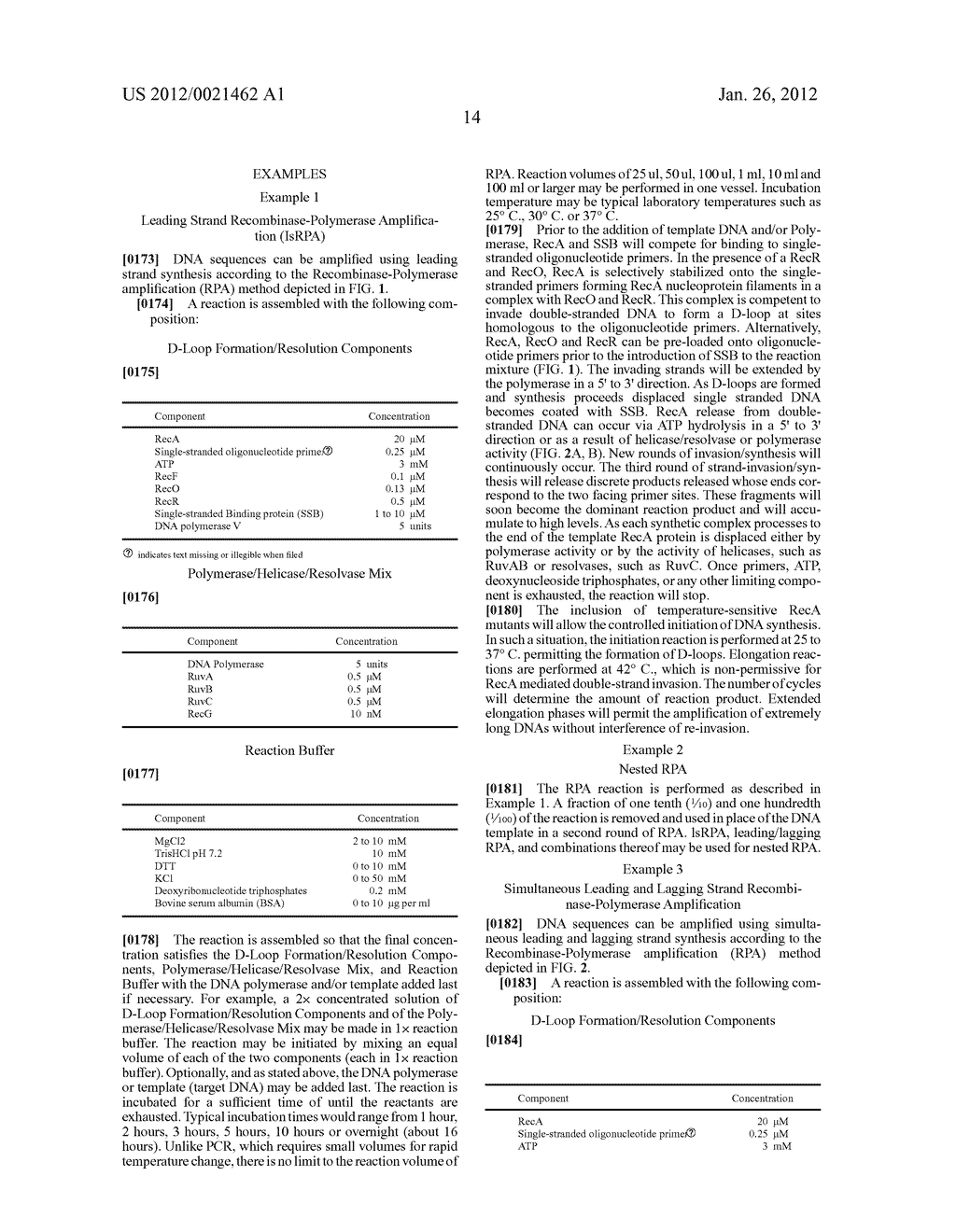 RECOMBINASE POLYMERASE AMPLIFICATION - diagram, schematic, and image 27