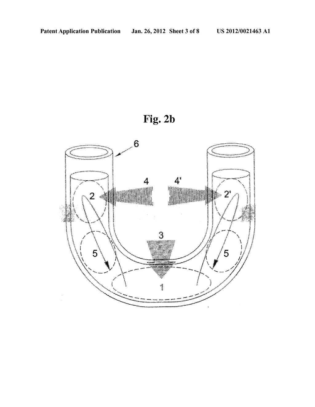 METHOD AND APPARATUS FOR AMPLIFICATION OF NUCLEIC ACID SEQUENCES BY USING     THERMAL CONVECTION - diagram, schematic, and image 04