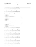 RATIONALLY-DESIGNED MEGANUCLEASES WITH ALTERED SEQUENCE SPECIFICITY AND     DNA-BINDING AFFINITY diagram and image