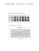 PRODUCTION OF L-RIBOSE AND OTHER RARE SUGARS diagram and image