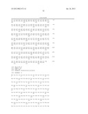 Method for the Production of Glutaconate diagram and image