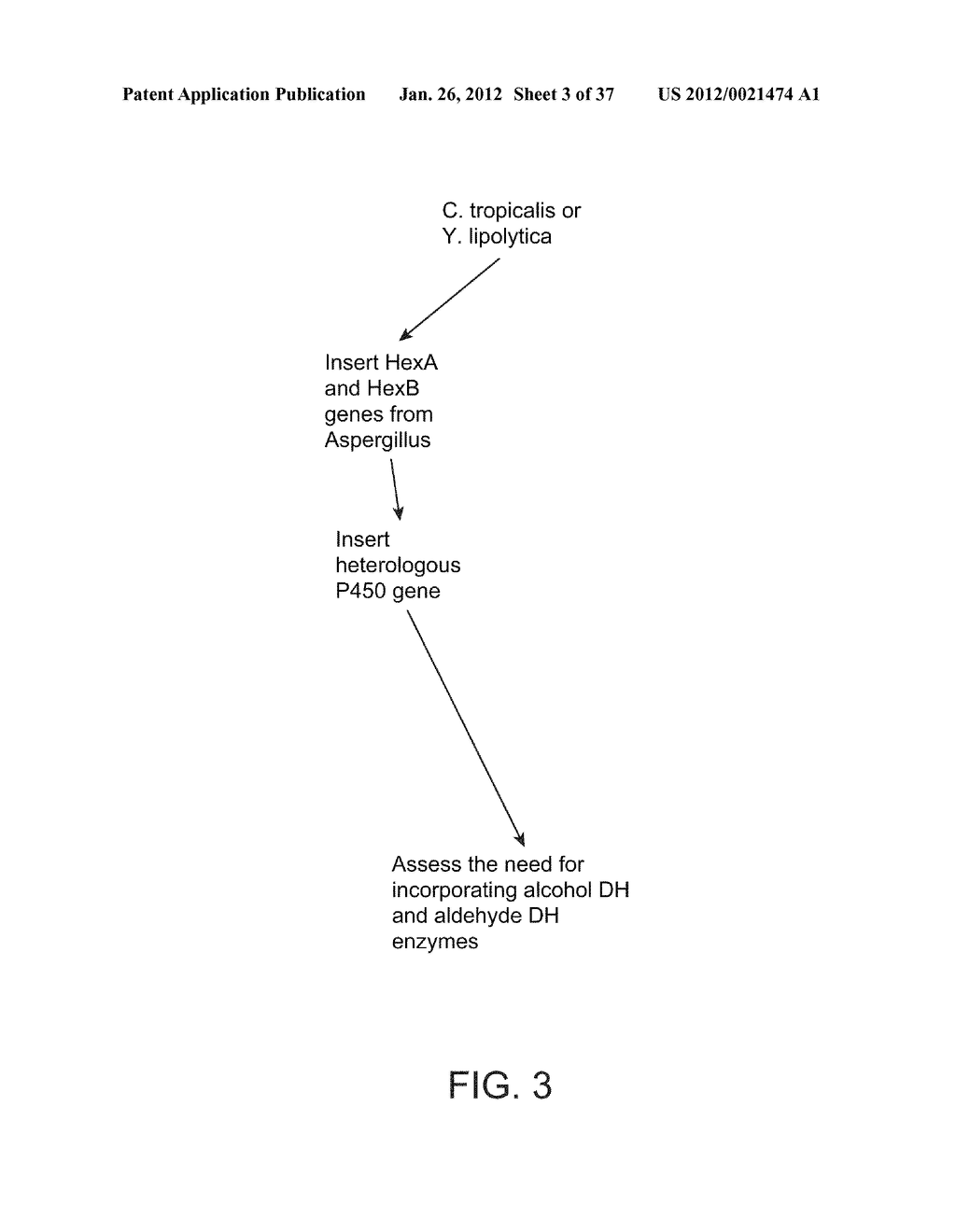 BIOLOGICAL METHODS FOR PREPARING ADIPIC ACID - diagram, schematic, and image 04