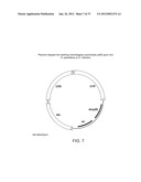 BIOLOGICAL METHODS FOR PREPARING ADIPIC ACID diagram and image