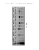 BIOLOGICAL METHODS FOR PREPARING ADIPIC ACID diagram and image