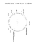 BIOLOGICAL METHODS FOR PREPARING ADIPIC ACID diagram and image