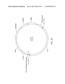 BIOLOGICAL METHODS FOR PREPARING ADIPIC ACID diagram and image