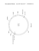 BIOLOGICAL METHODS FOR PREPARING ADIPIC ACID diagram and image