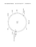 BIOLOGICAL METHODS FOR PREPARING ADIPIC ACID diagram and image