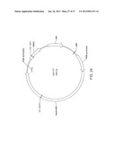 BIOLOGICAL METHODS FOR PREPARING ADIPIC ACID diagram and image