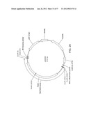 BIOLOGICAL METHODS FOR PREPARING ADIPIC ACID diagram and image