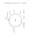 BIOLOGICAL METHODS FOR PREPARING ADIPIC ACID diagram and image