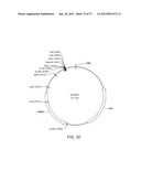 BIOLOGICAL METHODS FOR PREPARING ADIPIC ACID diagram and image