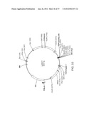 BIOLOGICAL METHODS FOR PREPARING ADIPIC ACID diagram and image