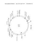 BIOLOGICAL METHODS FOR PREPARING ADIPIC ACID diagram and image