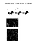 Systems of Hydrogen Production in Bacteria diagram and image