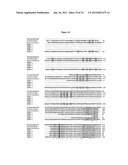 Systems of Hydrogen Production in Bacteria diagram and image