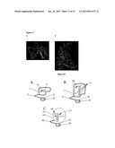 Systems of Hydrogen Production in Bacteria diagram and image