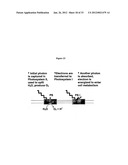 Systems of Hydrogen Production in Bacteria diagram and image