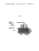 Systems of Hydrogen Production in Bacteria diagram and image