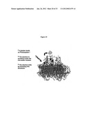 Systems of Hydrogen Production in Bacteria diagram and image