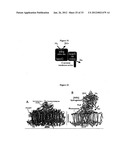 Systems of Hydrogen Production in Bacteria diagram and image