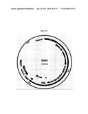 Systems of Hydrogen Production in Bacteria diagram and image