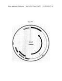 Systems of Hydrogen Production in Bacteria diagram and image