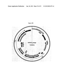 Systems of Hydrogen Production in Bacteria diagram and image