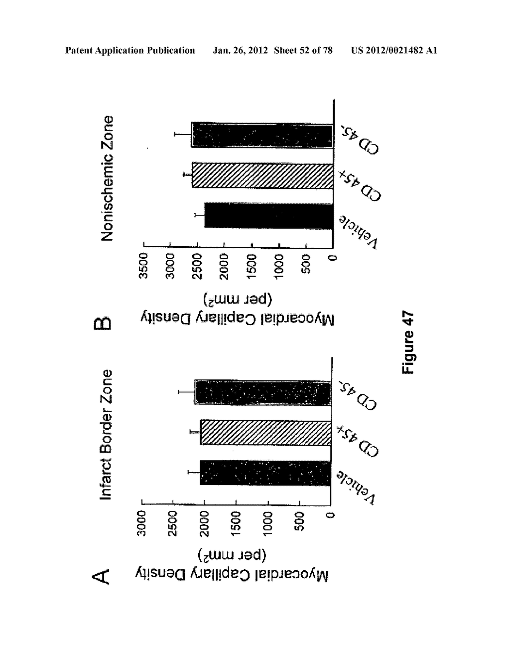 METHODS FOR ISOLATING VERY SMALL EMBRYONIC-LIKE (VSEL) STEM CELLS - diagram, schematic, and image 53